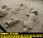 Pompeii Body Casts